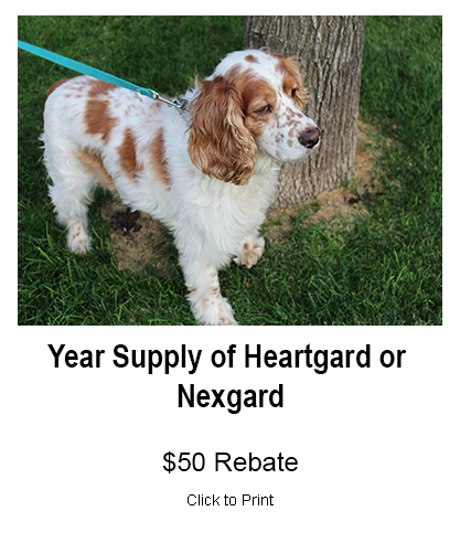 Year of Heartgard or Nexgard Special